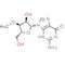 3'-O-Methylguanosine