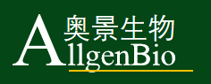 脑癌 88 基因检测(二代测序) 