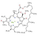 Bacteriochlorophyll a