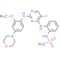 CZC-25146