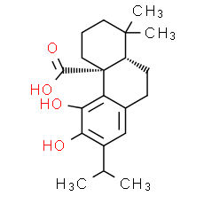 Carnosic Acid