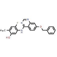 ZM323881