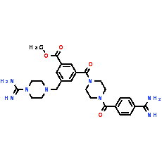 CBB1007