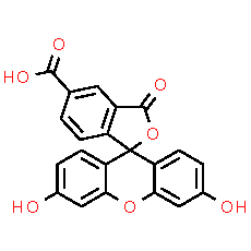 5-FAM