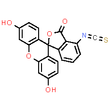 6-FITC