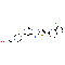 Dasatinib