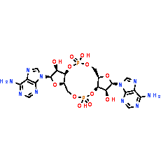 c-di-AMP