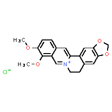 Berberine (chloride)