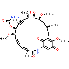 Geldanamycin