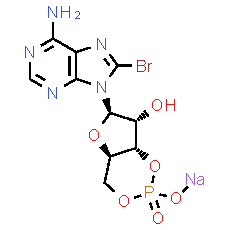 8-Bromo-cAMP sodium salt