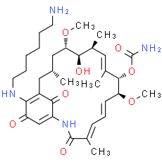 Aminohexylgeldanamycin