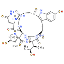 γ-Amanitin