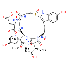 ε-Amanitin