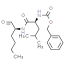 Calpeptin