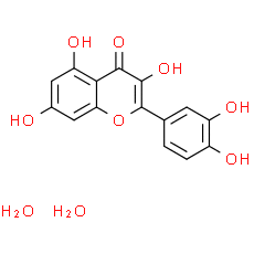 Quercetin dihydrate