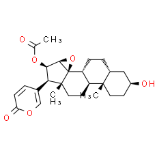 Cinobufagin