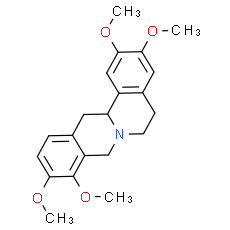 Tetrahydropalmatine