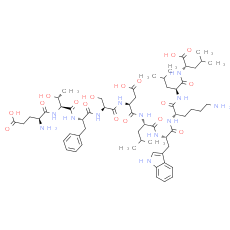 p53 (17-26)