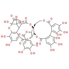 Geraniin