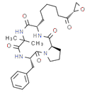 Chlamydocin