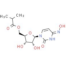 Molnupiravir