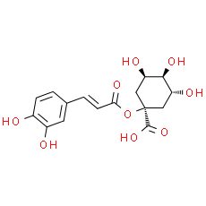 1-Caffeoylquinic acid