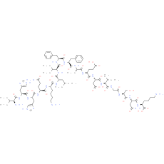 β-amyloid (12-28)