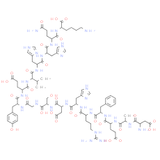 β-Amyloid 1-16