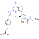 CGS 21680, adenosine A2 receptor agonist.