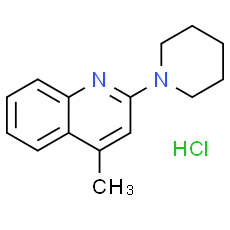 CSN19023