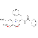 Bortezomib