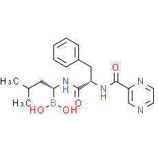 Bortezomib