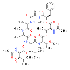 YM 254890