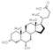 Hyodeoxycholic acid(HDCA)