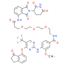 BI-3663, PTK2/FAK PROTAC