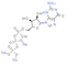 5'-GTP trisodium salt