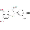 Catechin