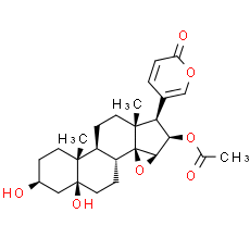 Cinobufotalin