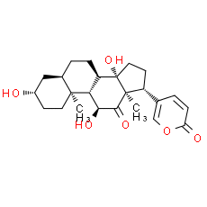 Arenobufagin