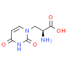 (S)-Willardiine