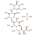 Acarbose sulfate