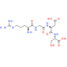 Arg-Gly-Asp-Ser