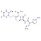 Ceftriaxone