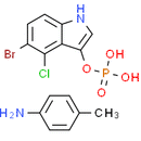 BCIP