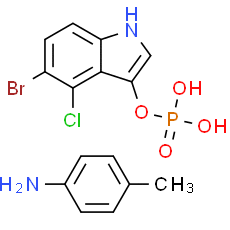 BCIP