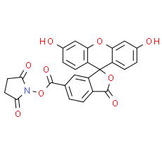 6-FAM SE