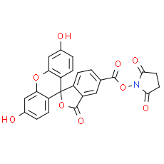 5-FAM SE