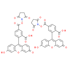 5(6)-FAM SE