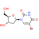 5-BrdU