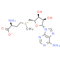 Ademetionine